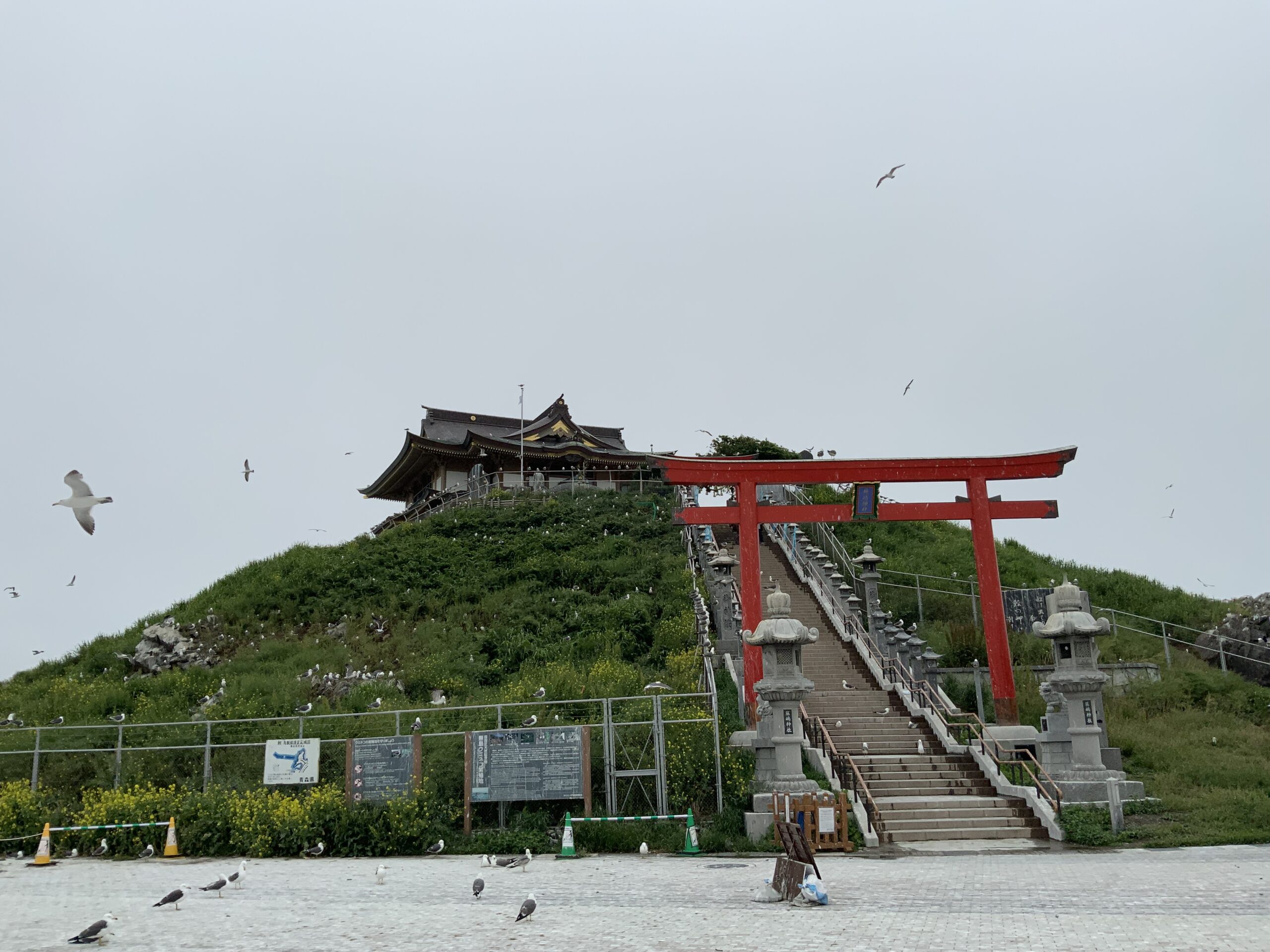 画像：[ウェブサイトをリニューアルしました]